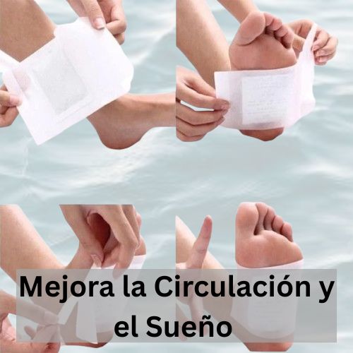 10 Parches Desintoxicantes Kinoki