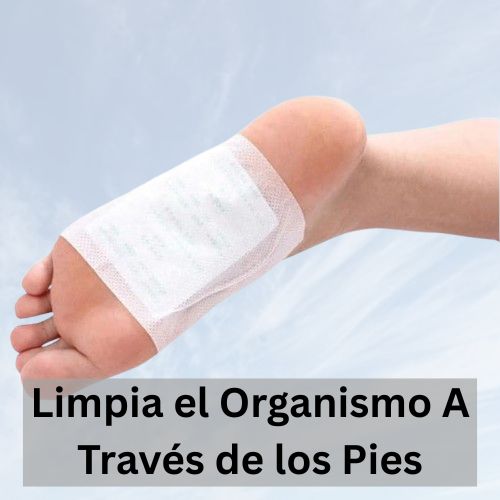 10 Parches Desintoxicantes Kinoki